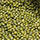 Indian Dal, Pulses Exporters India