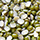 Indian Dal, Pulses Exporters India