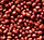 Indian Dal, Pulses Exporters India