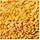 Indian Dal, Pulses Exporters India