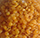 Indian Dal, Pulses Exporters India