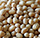Indian Dal, Pulses Exporters India